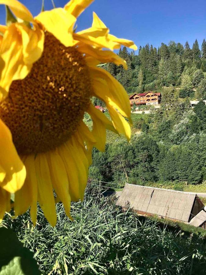 Privatna Sadiba Chalet Oryavchyk Exteriör bild