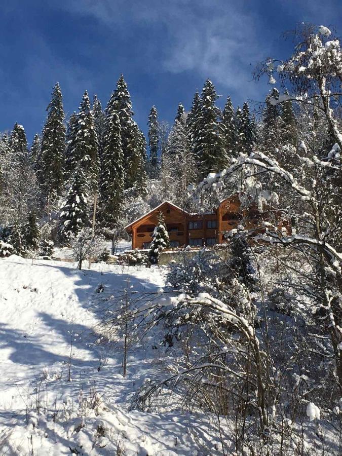 Privatna Sadiba Chalet Oryavchyk Exteriör bild