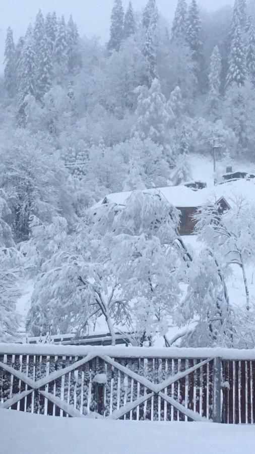 Privatna Sadiba Chalet Oryavchyk Exteriör bild